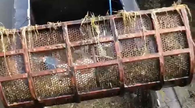 Duik- en bergingsbedrijf Visschers verwijdert drijfvuil